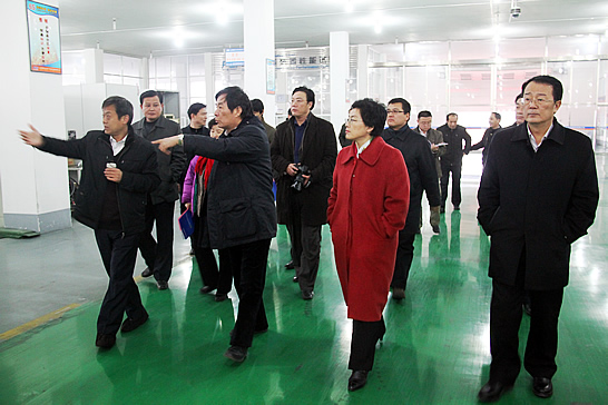 國務(wù)院參事、科技部原副部長劉燕華到汶上縣新風(fēng)光電子科技發(fā)展有限公司調(diào)研