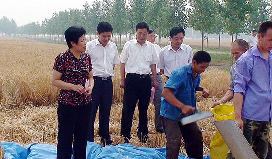汶上縣人大常委會副主任戴福盈，汶上縣政府副縣長閆波到鄉(xiāng)鎮(zhèn)督導(dǎo)檢查“三夏”生產(chǎn)和秸 ...