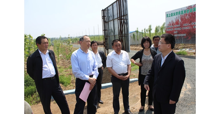 侯典峰陪同林兆謙到縣蘆花雞協(xié)會、義橋鎮(zhèn)苗木基地實地檢查指導(dǎo)