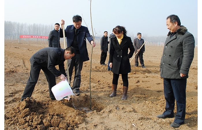 縣總工會積極參加全縣義務植樹活動