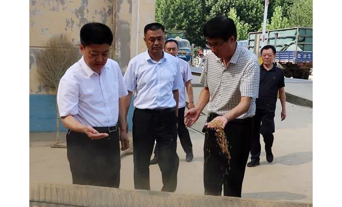 汶上縣人民政府 政務(wù)要聞 縣委常委、副縣長王洪正督導(dǎo)檢查夏糧收購工作